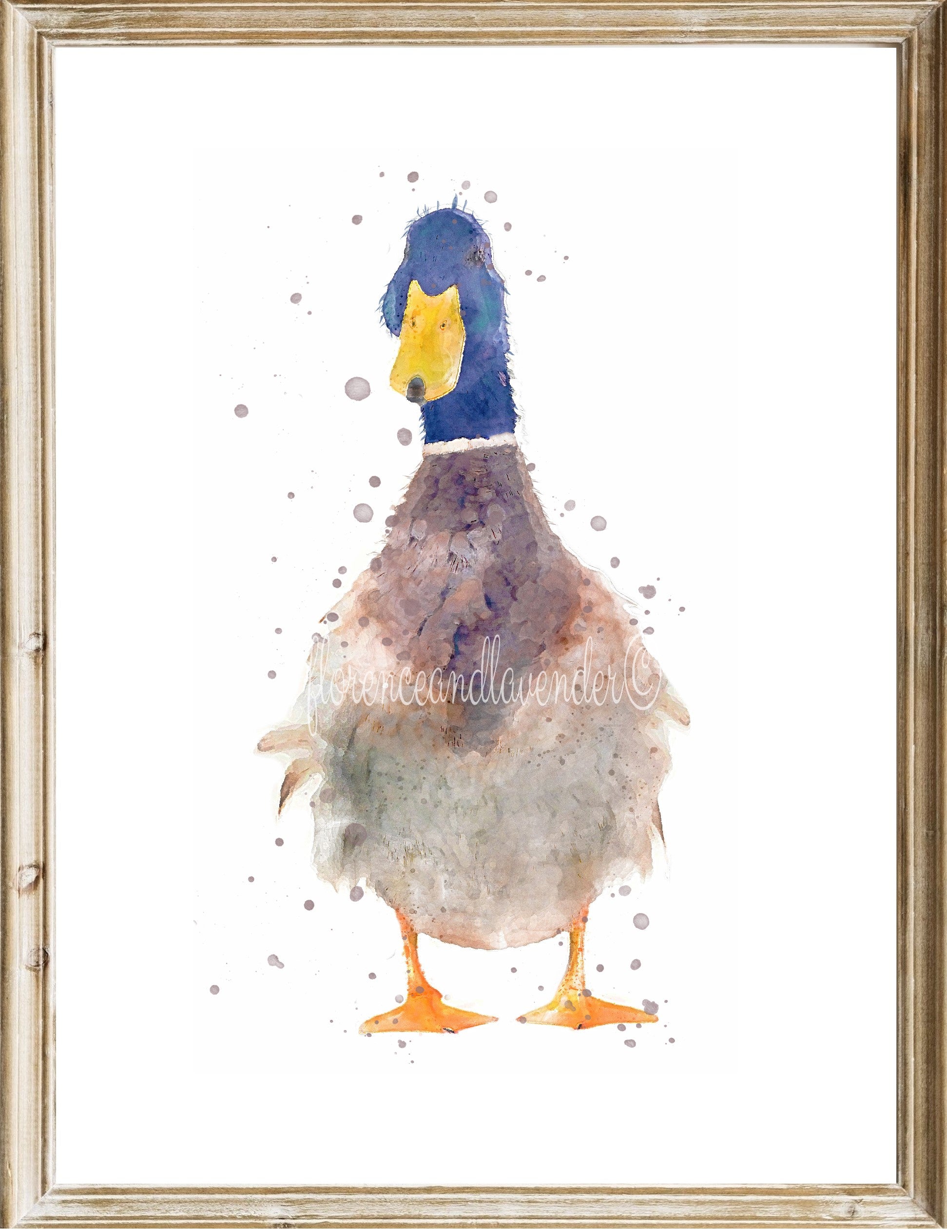 Beautifully Painted Duck online - matted print